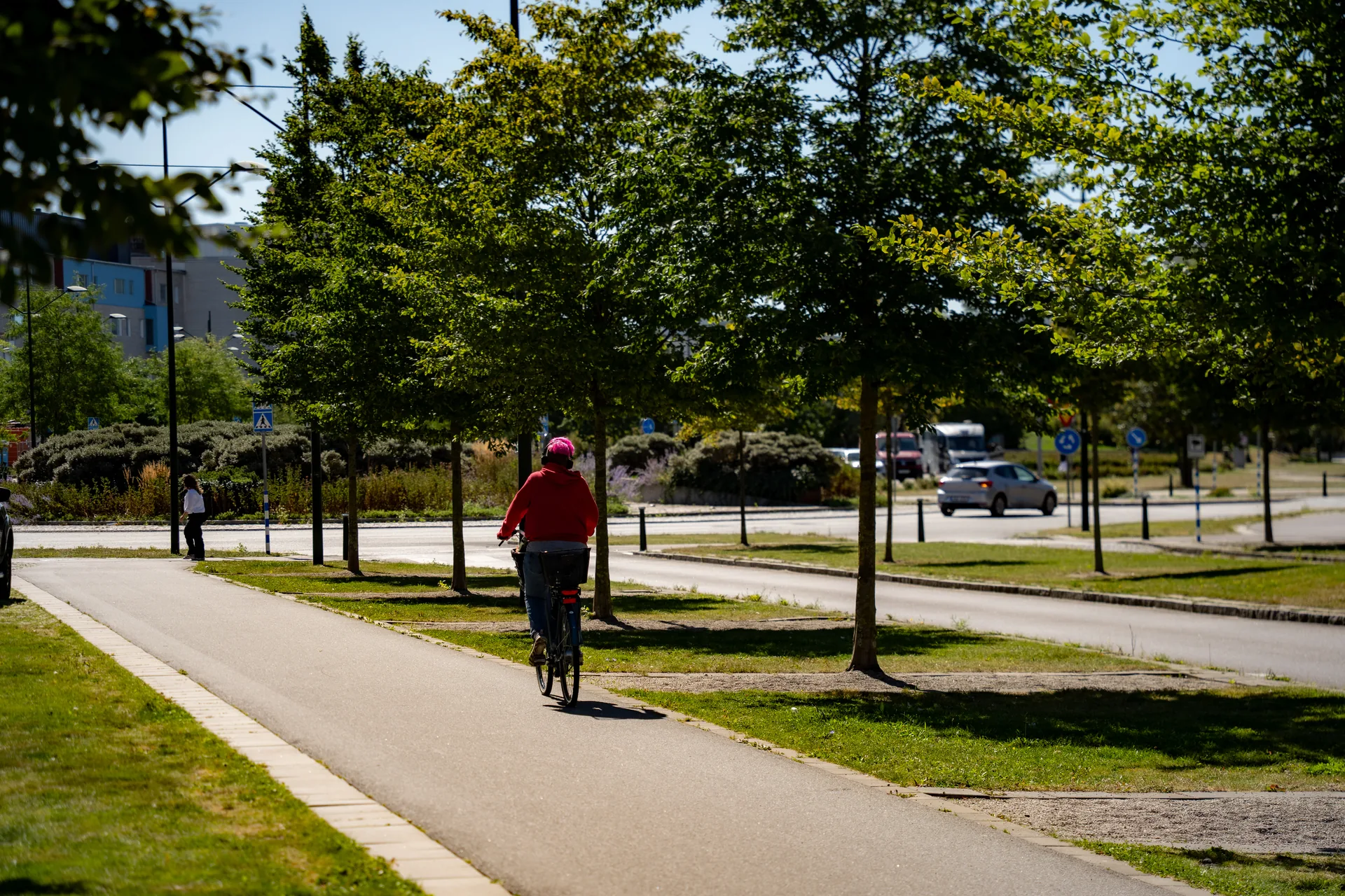 Ciclista em uma via com faixa de pedestres e árvores